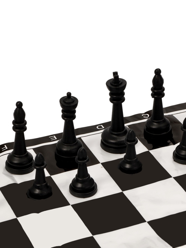 Шахматы 30 х 30 см, король h-5 см, d-2.2 см, фигуры пластик Шахматы 30 х 30 см, король h-5 см, d-2.2 см, фигуры пластик