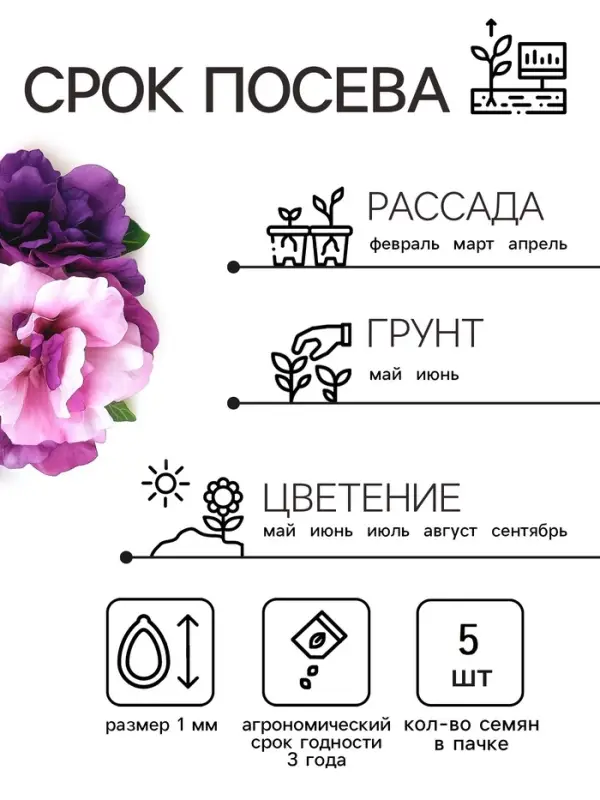 Семена цветов Петуния махровая каскадная &laquo;Блю & Орхид&raquo;, F1, смесь, 5 шт., однолетник, Premium seeds