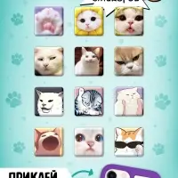 Набор &laquo;1000 котостикеров&raquo;: 4 стикербука, ролик, 3д стикеры