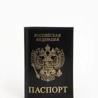 Обложка для паспорта, гладкая, с гербом, с тиснением фольгой, чёрная