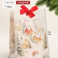 Пакет подарочный с лентой &laquo;С Новым годом&raquo;, зимняя деревушка, 13&times;19&times;9 см