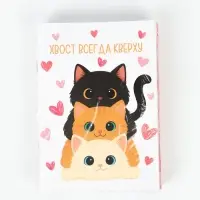 Блокнот А6, 32 л софт-тач МИКС "Котики"