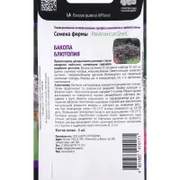 Семена цветов Бакопа Блютопия, 5шт