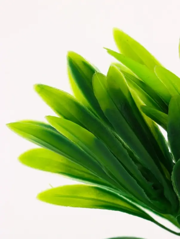 Растение искусственное аквариумное, на подставке под камень, 17&times;14&times;16 см