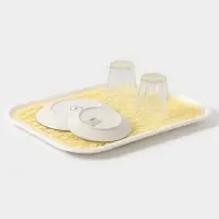 Поднос с вкладышем для сушки посуды Альт-Пласт &laquo;Колос&raquo;, пластик, 45.5&times;36 см, МИКС