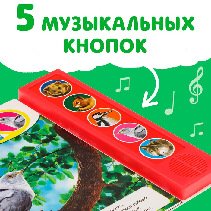 Музыкальная книга «Звуки леса», 10 стр. Музыкальная книга «Звуки леса», 10 стр.