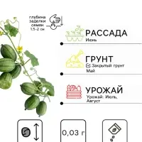 Семена Мелотрия (мышиная дыня) &laquo;Микки&raquo;, 0.03 г, &laquo;Аэлита&raquo;
