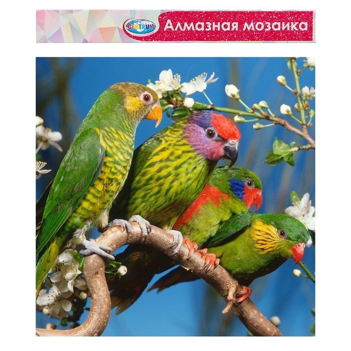 Алмазная мозаика «Попугаи», 40 × 50 см, без подрамника, частичное заполнение Алмазная мозаика «Попугаи», 40 × 50 см, без подрамника, частичное заполнение