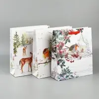 Набор пакетов «Новый год», 3 шт, 26 × 30 × 9 см Набор пакетов «Новый год», 3 шт, 26 × 30 × 9 см