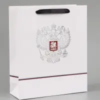 Пакет подарочный &laquo;Россия&raquo;, 25.5&times;30&times;9 см