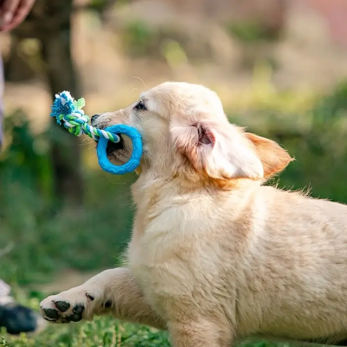 Игрушка жевательная с канатом &laquo;Кусочек солнца&raquo;, 8 см, голубая