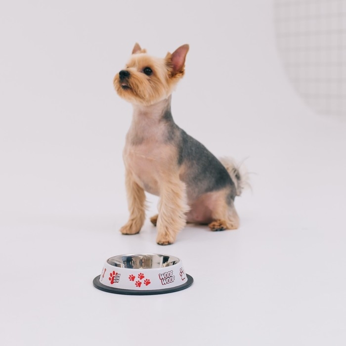 Миска металлическая для собаки с нескользящим основанием &laquo;Дай!&raquo;, 235 мл, 15х3.5 см