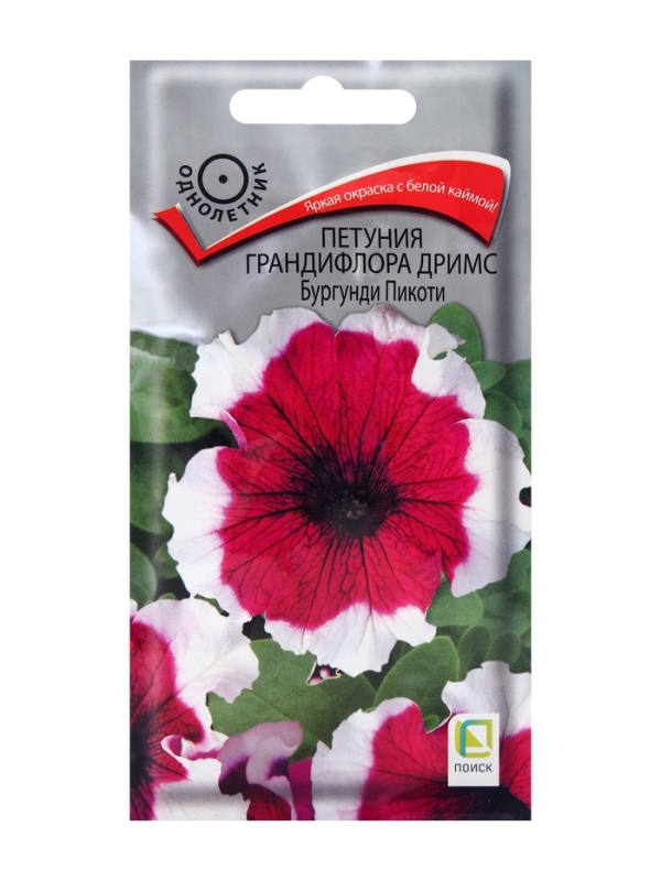 Семена цветов Петуния грандифлора Дримс Бургунди Пикоти, 15шт Семена цветов Петуния грандифлора Дримс Бургунди Пикоти, 15шт