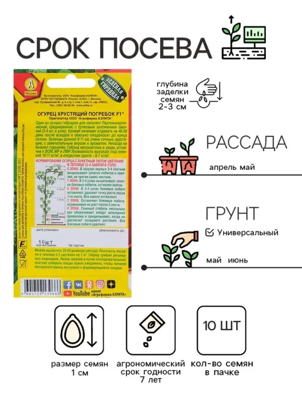 Семена Огурец Семена Огурец "Хрустящий погребок F1", 10 шт.