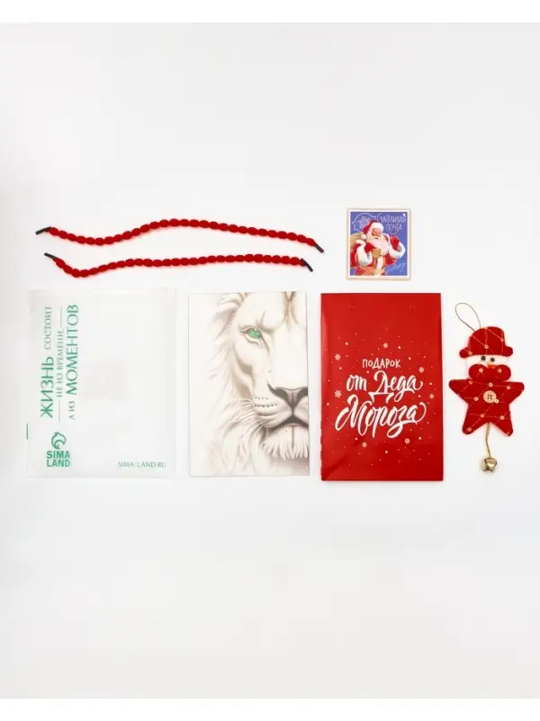 Пакет подарочный «Новогодний подарок», с носком для подарков, 18 × 23 × 11 см Пакет подарочный «Новогодний подарок», с носком для подарков, 18 × 23 × 11 см