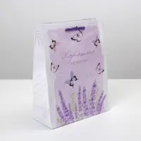 Пакет подарочный ламинированный, упаковка, Special for you, MS 18 х 23 х 8 см