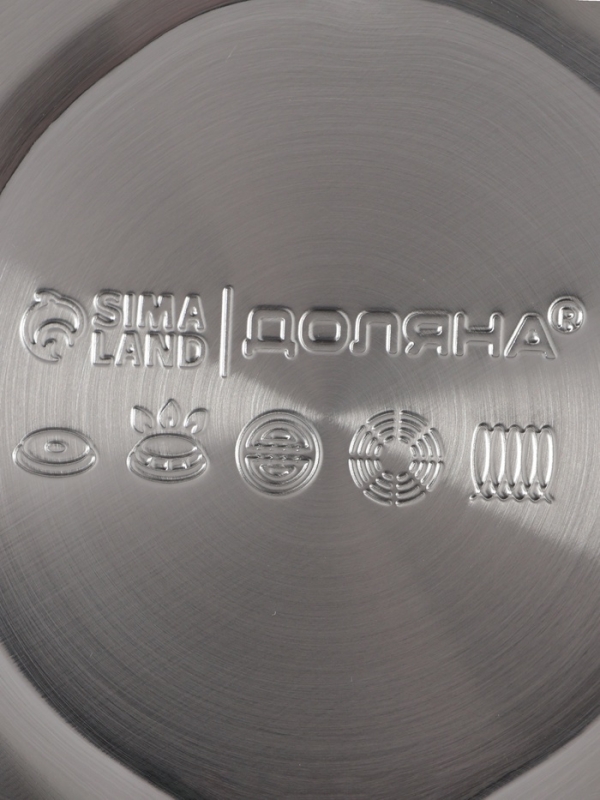 Чайник со свистком из нержавеющей стали Доляна Magic birds, 3 л, с индикатором нагрева, индукция Чайник со свистком из нержавеющей стали Доляна Magic birds, 3 л, с индикатором нагрева, индукция