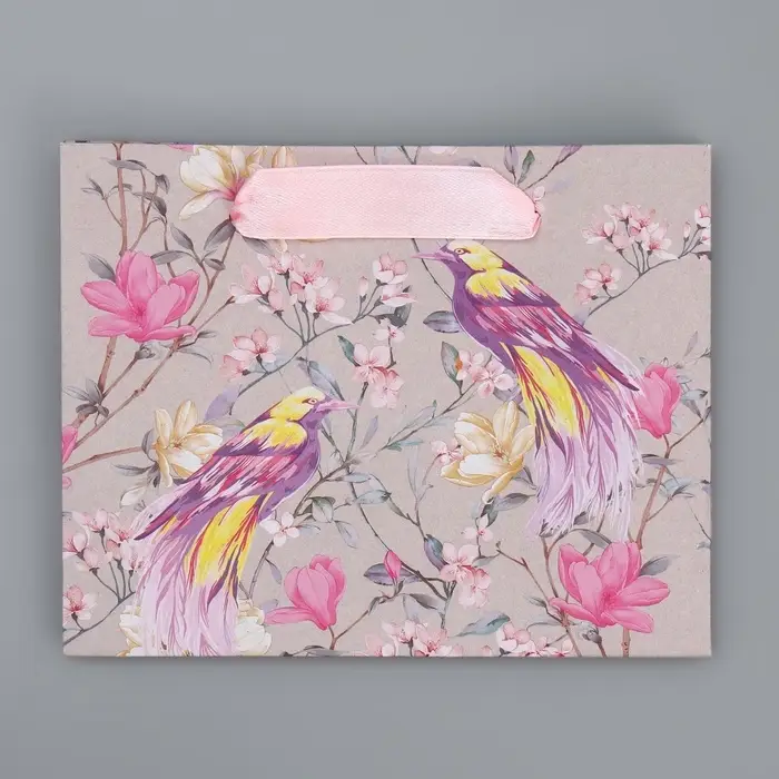 Пакет подарочный крафтовый, упаковка, «Птицы», S 15 х 12 х 5.5 см Пакет подарочный крафтовый, упаковка, «Птицы», S 15 х 12 х 5.5 см