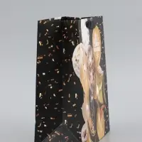 Пакет подарочный ламинированный, упаковка, &laquo;С Днём Рождения&raquo;, ML 25&times;21&times;11.5 см