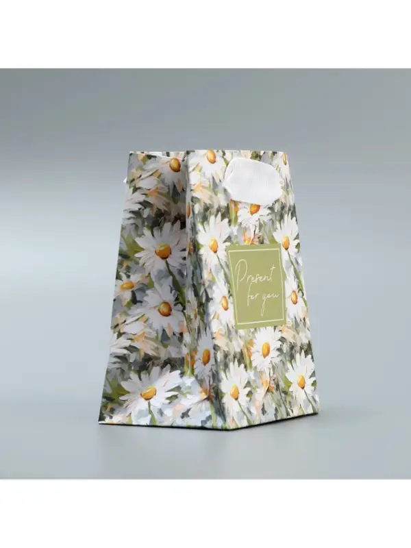 Пакет подарочный ламинированный, упаковка, Present, 9&times;12&times;6.5 см