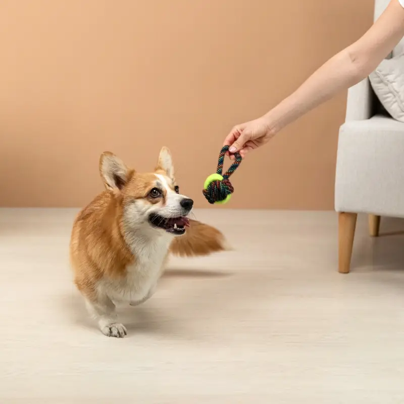 VETTA Игрушка для домашних животных, ПЭ, хлопок, 19,5 см