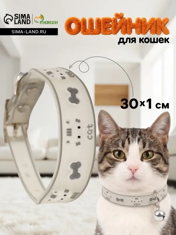 Ошейник для кошек &laquo;Котя&raquo;, 30&times;1 см, со светоотражающим покрытием, серый