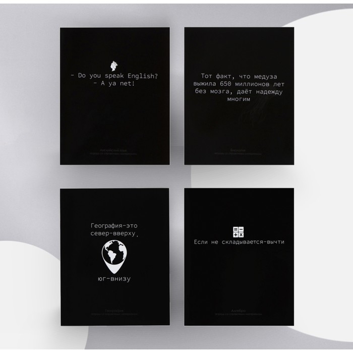 Комплект предметных тетрадей 48 листов "На Чёрном", 10 предметов, со справочным материалом, обложка мелованный картон, УФ-лак (полный), блок офсет