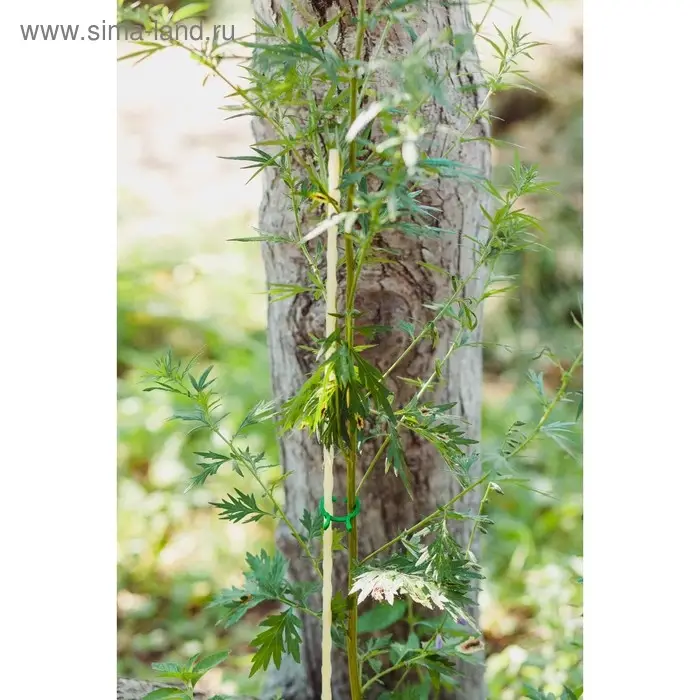 Колышек для подвязки растений, h=100 см, d=8 мм, стеклопластик, Greengo Колышек для подвязки растений, h=100 см, d=8 мм, стеклопластик, Greengo