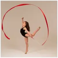 Лента для художественной гимнастики Grace Dance, 4 м, с палочкой, фуксия