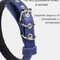 Ошейник, 35&times;1.5 см, подклад из ватина, кожа, синий