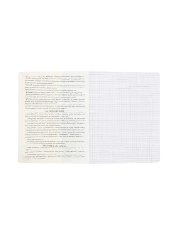 Предметная тетрадь по иностранным языкам Hatber &laquo;Буквица&raquo;, 48 листов, в клетку, со справочным материалом, обложка из мелованного картона