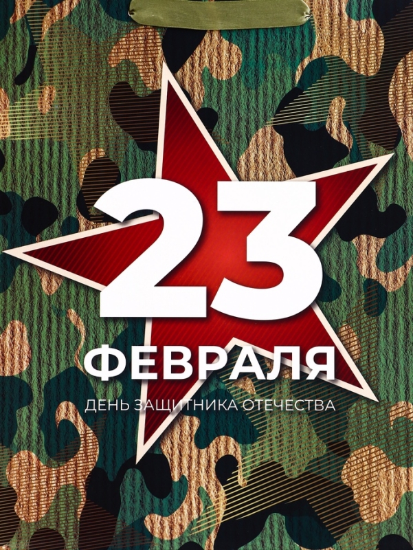 Пакет подарочный вертикальный «Защита»,  M 26 × 32 × 12 см