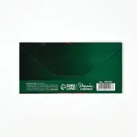 Конверт для денег &laquo;Поздравляем&raquo;, цветы, 16.5&times;8 см