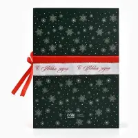 Коробка подарочная - книга &laquo;С Новым годом&raquo;, 27&times;19.5&times;8 см