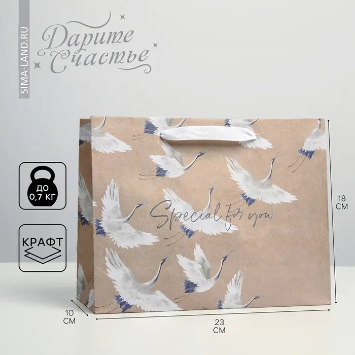 Пакет подарочный крафтовый, упаковка, «Special for you», MS 23 х 18 х 10 см