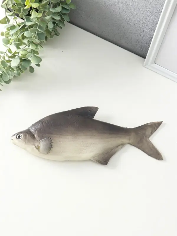 Муляж &laquo;Рыба лещ&raquo;, 10&times;30 см