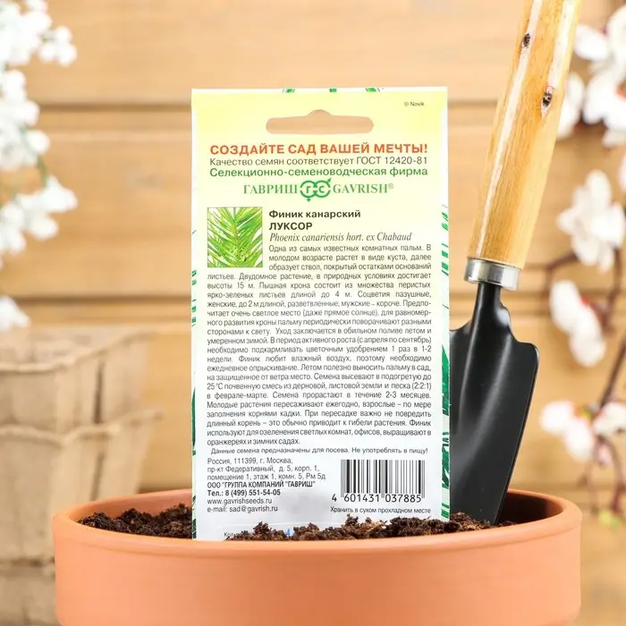 Семена комнатных цветов Финик Семена комнатных цветов Финик "Луксор", ц/п, 2 шт.