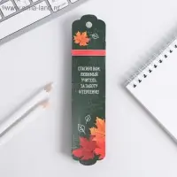 Ручка шариковая, синяя паста, 1 мм, металл, в подарочной упаковке &laquo;С Днём Учителя!&raquo;