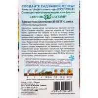 Семена цветов Хризантема Дунетти (махровая) 0,5 г. серия Устойчив к заморозкам!