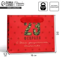 Пакет подарочный ламинированный, упаковка, «С 23 февраля», S 15 х 12 х 5.5 см