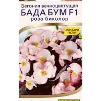 Семена цветов Бегония Бада бум F1 роза биколор (драже в пробирке) Спецсерия Syngenta, Ц/П,5 шт. 109 Семена цветов Бегония Бада бум F1 роза биколор (драже в пробирке) Спецсерия Syngenta, Ц/П,5 шт. 109