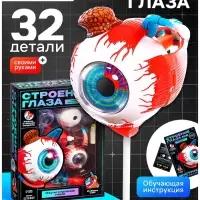 Набор для опытов &laquo;Строение глаза&raquo;, анатомическая модель