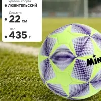Футбольный мяч MINSA, машинная сшивка, 12 панелей, р. 5, TPE