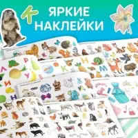 100 наклеек набор &laquo;Развивающие&raquo;, 4 шт. по 12 стр.