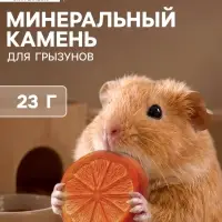 Минеральный камень &laquo;Пижон&raquo; для грызунов, апельсин, 23 г
