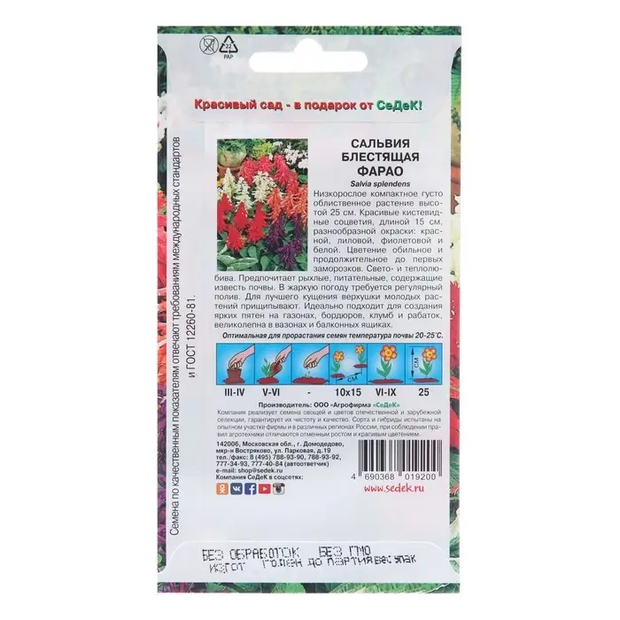 Семена цветов Сальвия" Фарао",