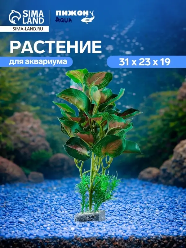 Растение аквариумное &laquo;В горшочке&raquo;, 31&times;23&times;19 см