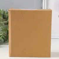 Сувенир полистоун "Золотой слон" 12х5,6х15,5 см