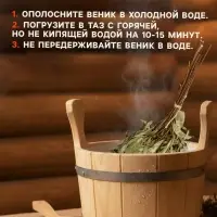 Веник для бани, эвкалиптовый, в пакете, &laquo;Добропаровъ&raquo;