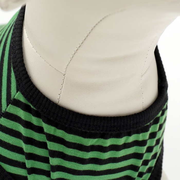 Майка для животных, L (ДС 33, ог 44, ош 28 см), зелёная Майка для животных, L (ДС 33, ог 44, ош 28 см), зелёная